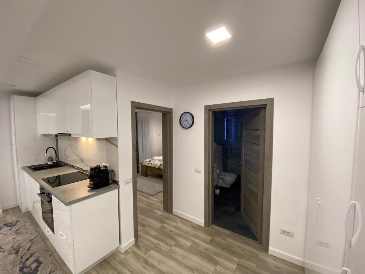 Lora Studio Apartment Suceava Luaran gambar