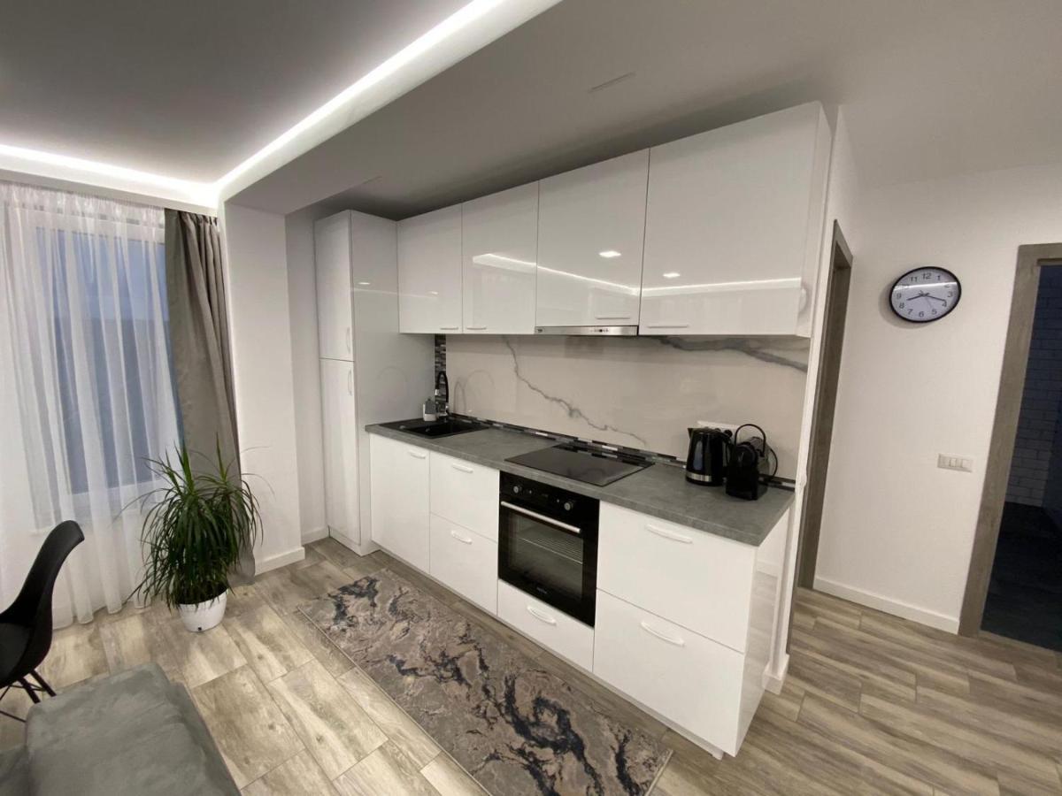 Lora Studio Apartment Suceava Luaran gambar